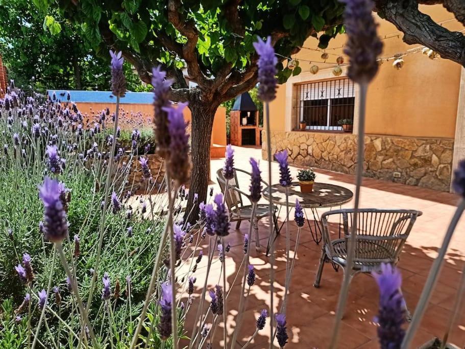 Villa Mas Del Vent- Barbacoa, Jardin, Piscina Privada Y Vistas A Mar Cunit Esterno foto